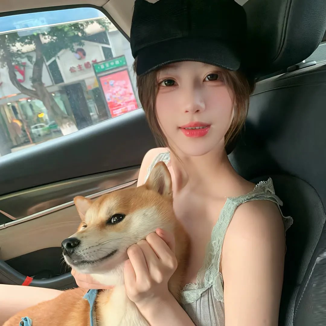 可靠港湾2