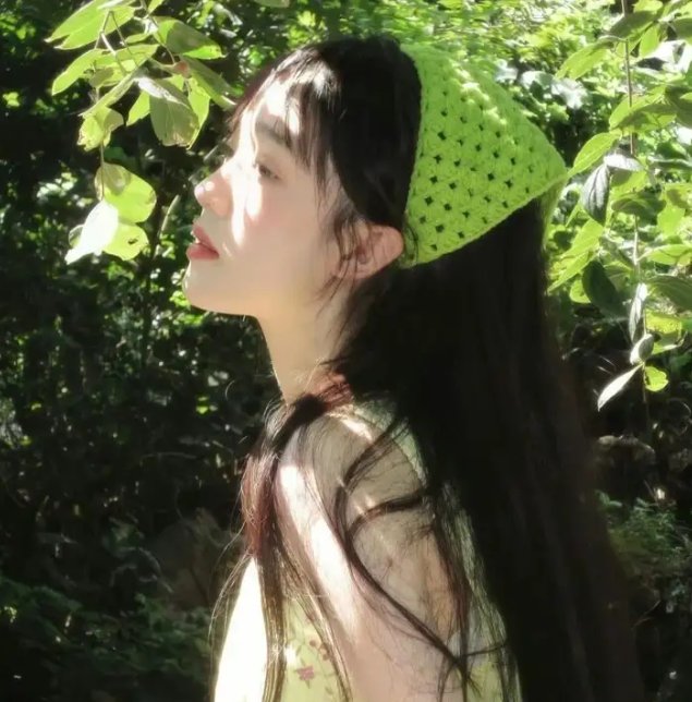 长毛狗